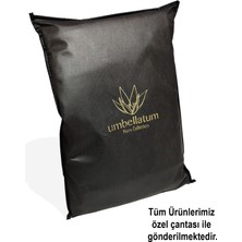 Umbellatum 8 Adet Siyah Baza Tipi Hurç 64X46 x 22 cm Baza Altı Büyük Boy Saklama Hurcu