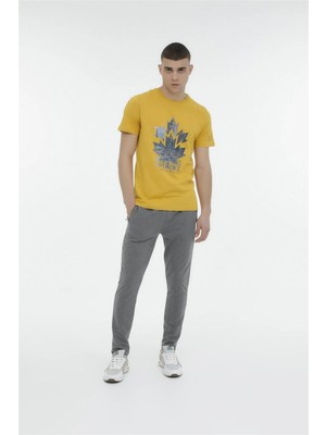 Lumberjack M-Ct121 Basic T Pnt 3Pr Antrasıt Erkek Eşofman Alt