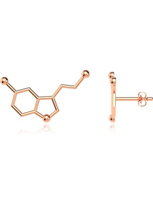 İndigo Takı Serotonin Mutluluk Hormonu Rose Gümüş Küpe