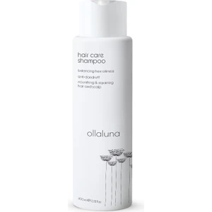 Hair Care Shampoo 400 ml Şampuan