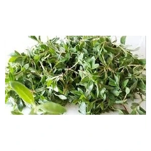 Erzurum Yöresel Gıda Erzurum Yöresel Gıda-Madımak(Kuşekmeği)Kurusu 100 gr