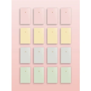 Akıllı Adam Yayınları 16'lı Pastel Çizgisiz 13  x  20 Defter Seti 4 Renk