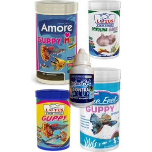 Tropikal  Canlı Doğuran  Lepistes  Tetra  Guppy  Flora  Vipangran Akvaryum Balık Yemi Sepeti 4 Kutu