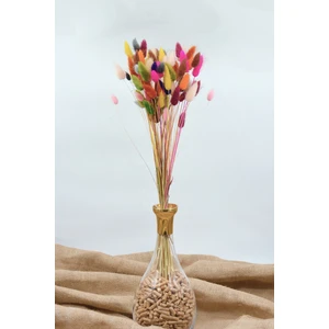 Dekora Çiçek Kurutulmuş Pamuk Otu Tavşan Kuyruğu Renk Şöleni - 80 Dal