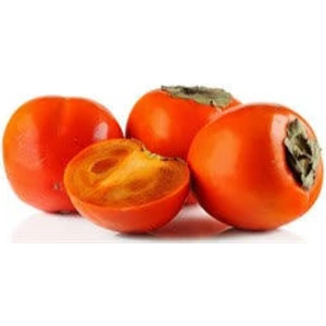 5 Adet Tüplü Yüksek Verimli Rojo Brillant Trabzon Hurması Fidanı