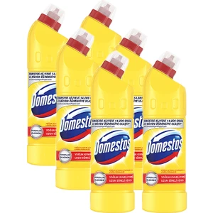 Limon Ferahlığı Çamaşır Suyu 750 ml x 6 Adet