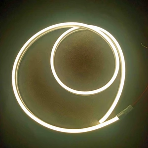 Neon LED
