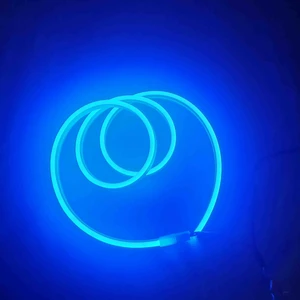 Neon LED