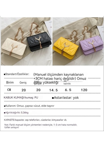 Çok Yönlü Zincir Küçük Kadın Tek Omuz Koltukaltı Küçük Kare Internet Ünlü Crossbody Çantası (Yurt Dışından)