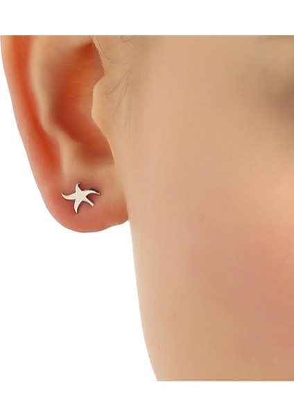925 Ayar Gümüş Minik Deniz Yıldızı Küpe fırsatları