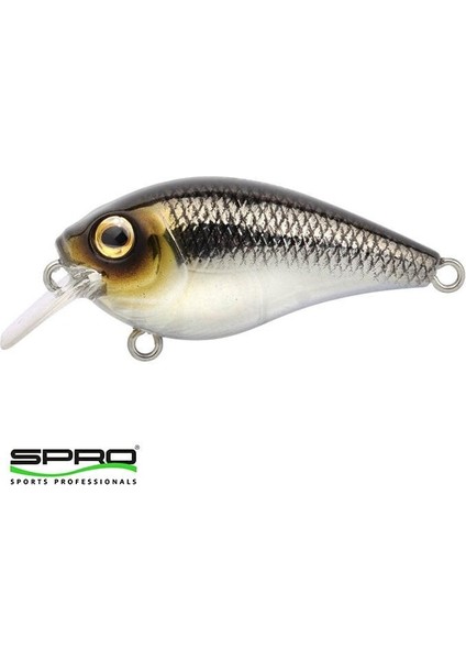 Ikiru Crank Pompano Maket Yem