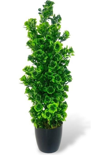 Yapay Çiçek Siyah Saksıda Güllü Yeşil Şimşir Ağacı 55CM