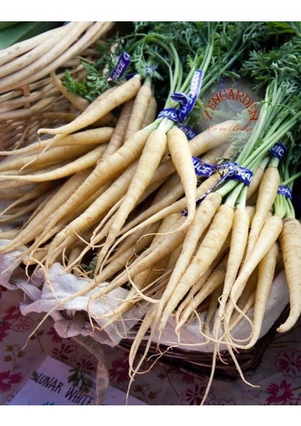 Beyaz Havuç Tohumu Atalık Carrot Lunar White