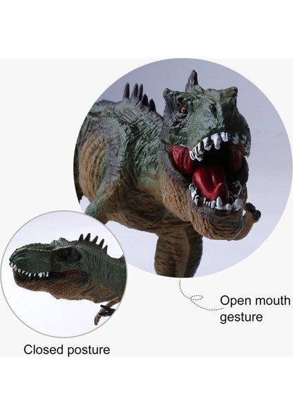 LRS Store T-Rex Süper Gerçekçi Dinazor Trex Figür 30 cm Kapanıp Açılabilen Ağız Hediye Oyuncak Dinozor