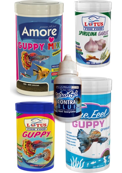 Tropikal Canlı Doğuran Lepistes Tetra Guppy Flora Vipangran Akvaryum Balık Yemi Sepeti 4 Kutu