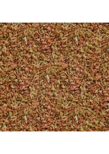 Tropikal Canlı Doğuran Lepistes Tetra Guppy Flora Vipangran Akvaryum Balık Yemi Sepeti 4 Kutu modelleri