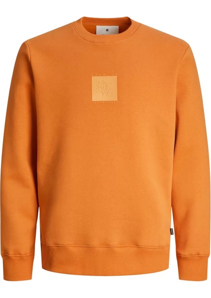 Jprblaleo Sweat Crew Neck Erkek Sweatshirt