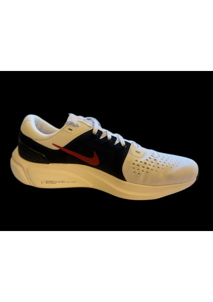 Air Zoom Vomero 15 Running Erkek Spor Ayakkabı