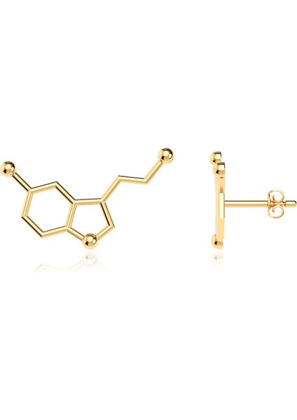 Serotonin Mutluluk Hormonu Altın Kaplama Gümüş Küpe