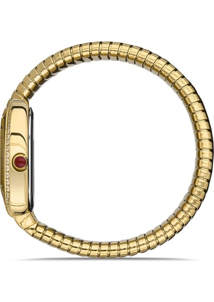 SS256G-02SG Kadın Kol Saati modelleri