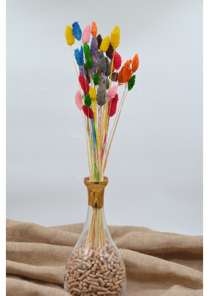 Kurutulmuş Kuş Otu (Palaris Çiçeği) Renk Şöleni 40 Dal