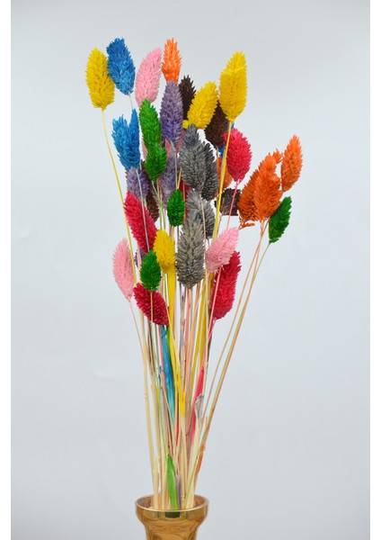 Kurutulmuş Kuş Otu (Palaris Çiçeği) Renk Şöleni 40 Dal fiyatları