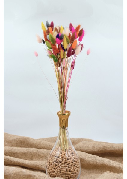 Kurutulmuş Pamuk Otu Tavşan Kuyruğu Renk Şöleni - 80 Dal