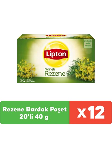 Rezene Bardak Poşet 20'li 40 gr x 12 Adet