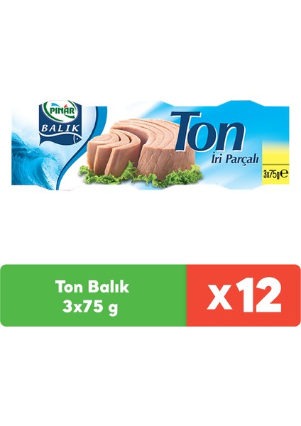 Ton Balık 3X75 gr x 12 Adet