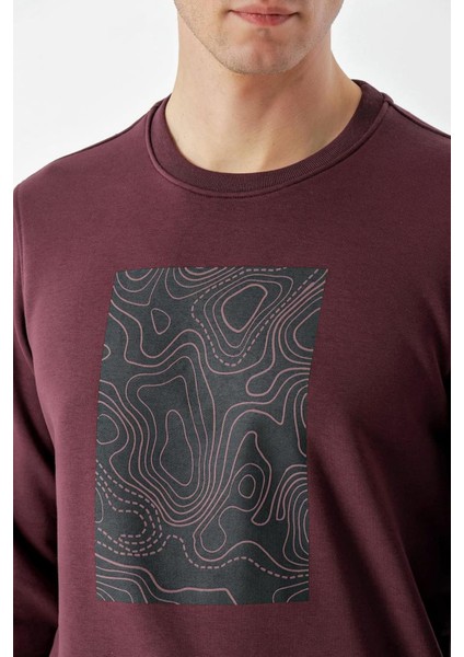 Slim Fit Bisiklet Yaka Önü Baskılı 2 İplik Erkek Sweatshirt indirimleri