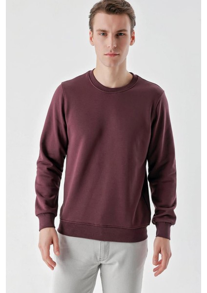 Slim Fit Bisiklet Yaka Düz Renk 2 İplik Erkek Sweatshirt fiyatları