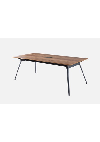 Deep Toplantı Masası 200X100 cm (Minyatür) modelleri