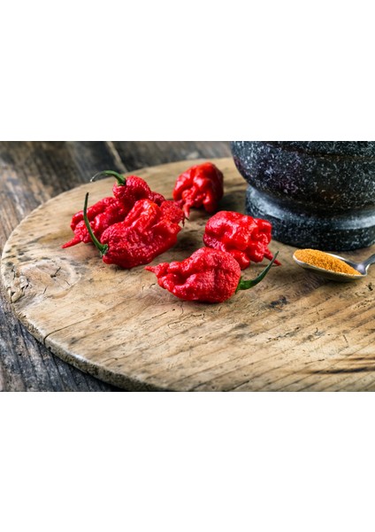 Carolına Reaper Biberi - Gerçek Taze Biber / 2,5 Milyon Scoville No: 1