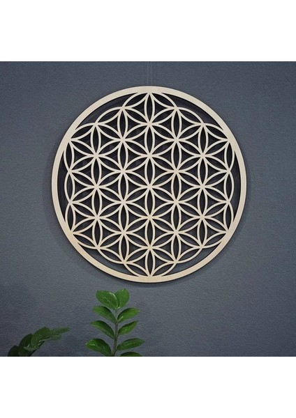 WD0099 10CM 1 Adet Çakra Hayat Çiçeği Doğal Sembol 14 Çeşit Ahşap Yuvarlak Kenar Daire Oyma Bardak Altlığı Taş Kristal Seti Dıy Dekor (Yurt Dışından)