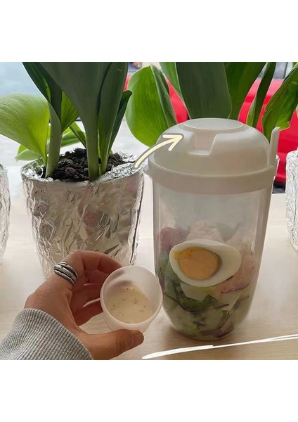 Yeşil Taze Salata Bardağı Konteyner Seti Çatal Sos Bardağı ile Taşınabilir Piknik Bento Yiyecek Kutusu Mutfak Öğle Yemeği Kutusu Fit Tutun Gevşek Ağırlık (Yurt Dışından)