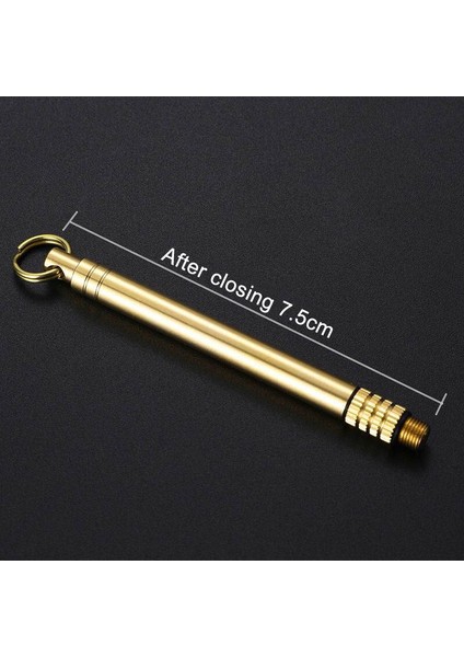 Gümüş Taşınabilir Titanyum Çelik Ayrılabilir 1 Adet Meyve Çatalı Kürdan Tüpü 4 Renk Çok Fonksiyonlu Açık Kamp Aracı (Yurt Dışından) fırsatları