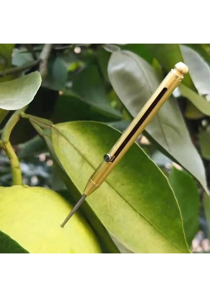 Hei Pirinç Taşınabilir Meyve Toplama Çok Fonksiyonlu Bahar Geri Çekilebilir Kürdan Tüpü Titanyum Alaşımlı Kürdan Pirinç Kürdan Kürdan (Yurt Dışından) fiyatları