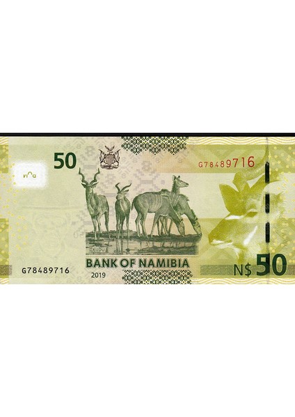 Namibia 50 Dollars 2019, Unc, P-13 Çil Banknot