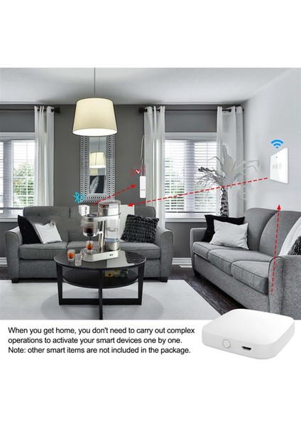 Tuya Akıllı Bahçe Sulama Zamanlayıcısı Bluetooth Otomatik Damla Sulama Kontrol Cihazı Akıllı Su Vanası Bahçe (Ağ Geçidi) (Yurt Dışından)