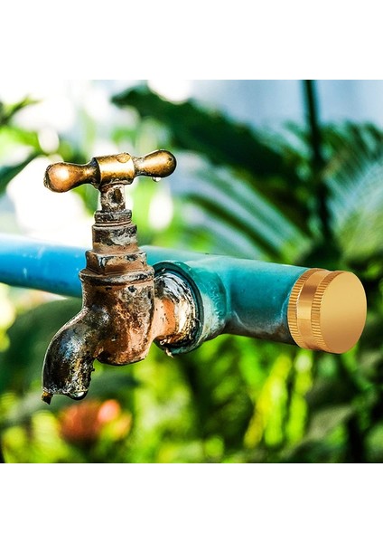 Weroyal 4'lü Bahçe Hortumu 3/4 (Yurt Dışından) indirimleri