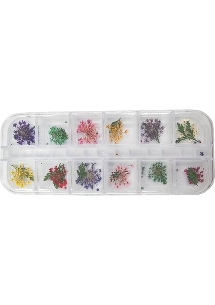 Nail Art Manikür Tırnak Süsleme Yapraklı Kuru Çiçek 12LI Set