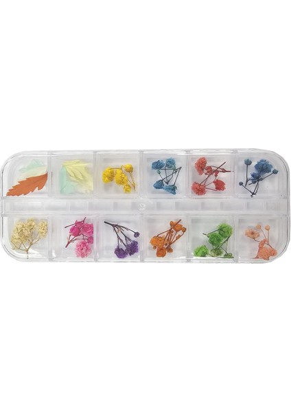 Nail Art Manikür Tırnak Süsleme Kuru Çiçek 12LI Set