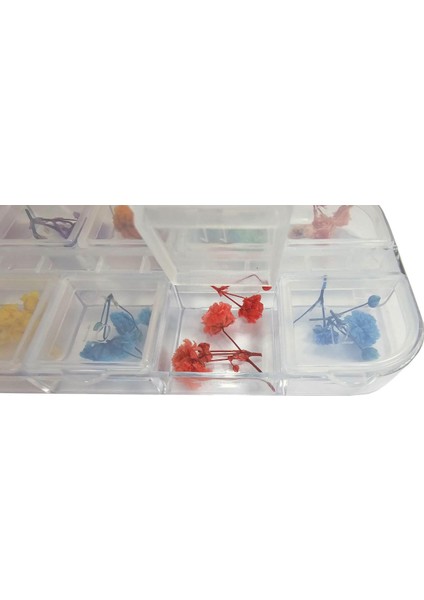 Nail Art Manikür Tırnak Süsleme Kuru Çiçek 12LI Set fiyatları