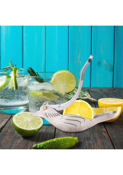 1pc Paslanmaz Çelik Manuel Sıkacağı Kuş Şekli Narenciye Portakal Için Limon Sıkacağı (Yurt Dışından) indirimleri