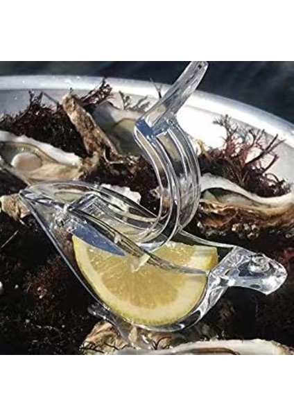 Kuş 1/2 Adet Limon Sıkacağı Ev Manuel Akrilik Şeffaf Taşınabilir Şeffaf El Preslenmiş Meyve Sıkacağı Mutfak Bar Gadget Araçları Pişirme (Yurt Dışından) indirimleri