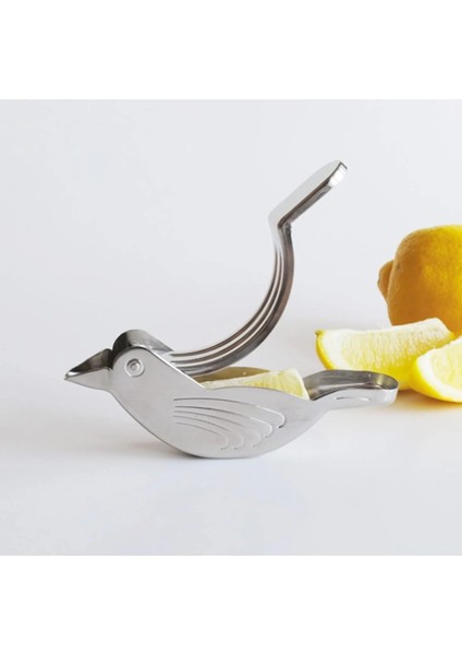 1 Adet Sıkacağı 304 Çelik Sebze Ev Meyve Yaratıcı Demlik Çay Limon Kuş Araçları Paslanmaz Gadget Mutfak Sıkacağı Limon (Yurt Dışından)