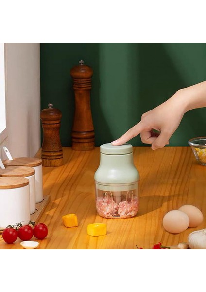 250 ml 100/250 ml Zencefil Ezici Kaymaz Taban Şarj Edilebilir Abs Mini Elektrikli Sarımsak Kıyıcı Sebze Kırıcı Aracı Mutfak Malzemeleri (Yurt Dışından) modelleri