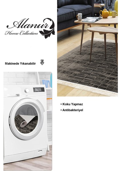 Dijital Salon Halısı Trend Keçe Kaymaz Taban Saçaklı Modern Blaithin Bej