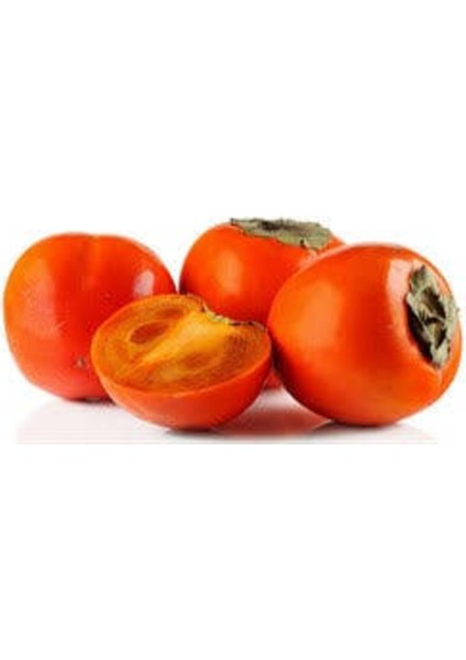 5 Adet Tüplü Yüksek Verimli Rojo Brillant Trabzon Hurması Fidanı