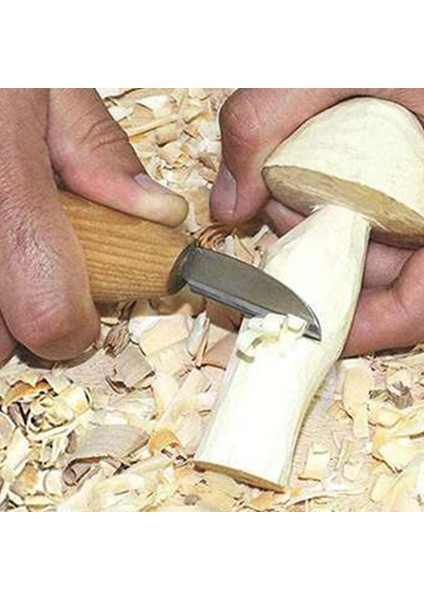 B 1 Adet Ağaç Işleme Kayın Oval Saplı Pala Düz Bıçak Oyma Bıçağı Ev Ahşap Kazıyıcı Oyma Düz Bıçak Oyma Aracı (Yurt Dışından) modelleri